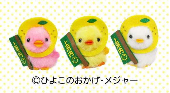 ぴより～なオフィシャルサイト｜株式会社ひよこのおかげ｜トップ